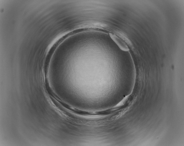 X0000063530936200601201454