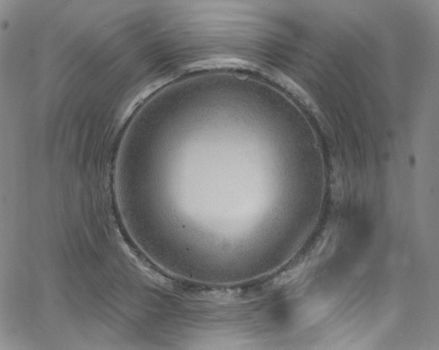 X0000063530937200601201454