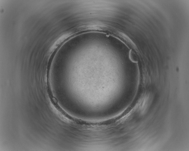 X0000063530938200601201455