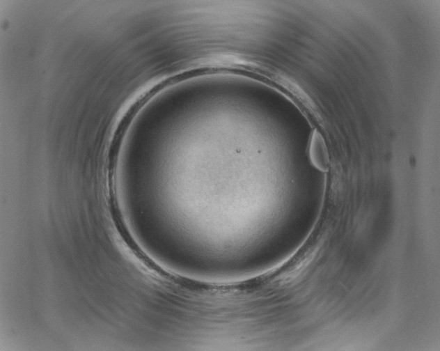 X0000063530939200601201455