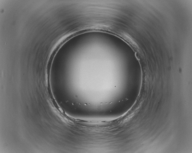 X0000063530940200601201455