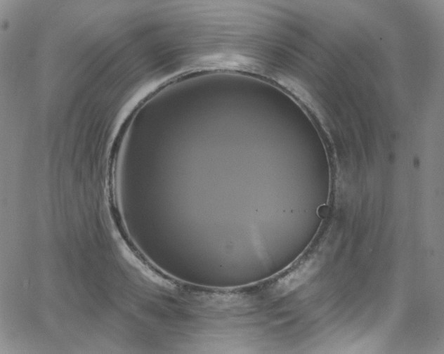 X0000063530941200601201455