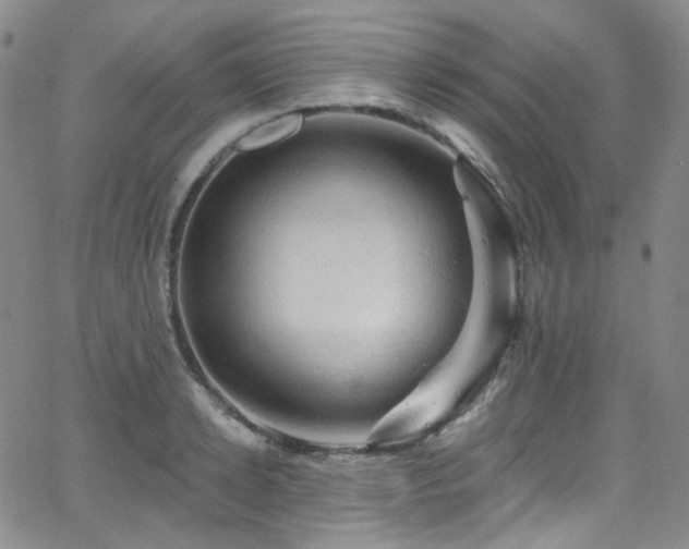 X0000063530942200601201455