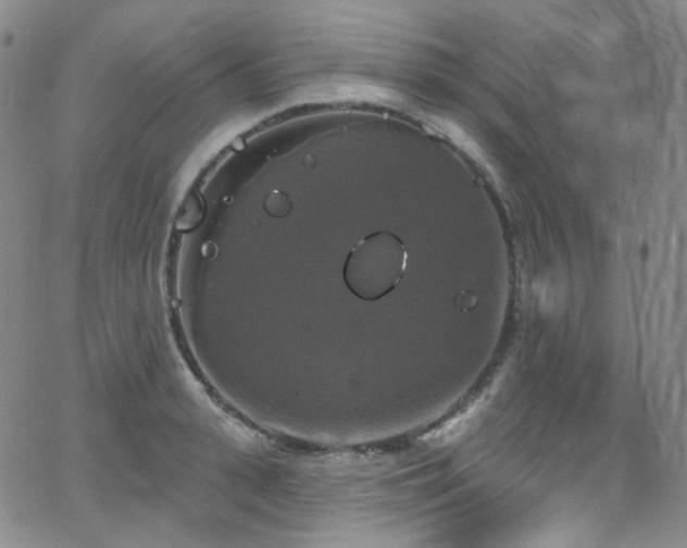 X0000063530943200601201455