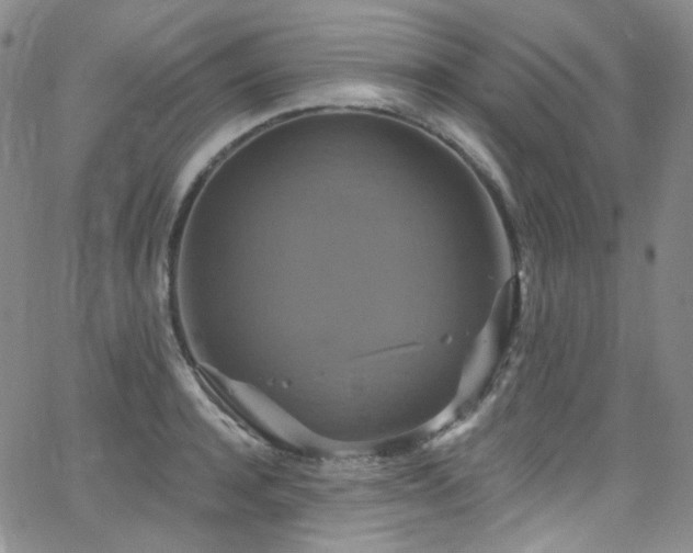 X0000063530944200601201455