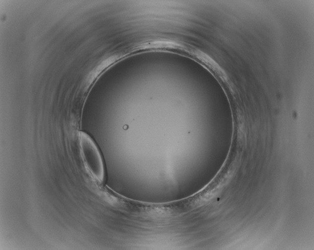 X0000063530945200601201455