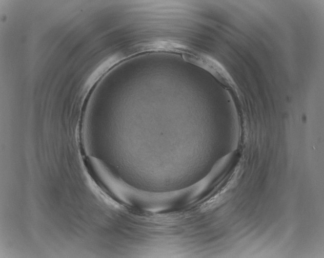 X0000063530946200601201455