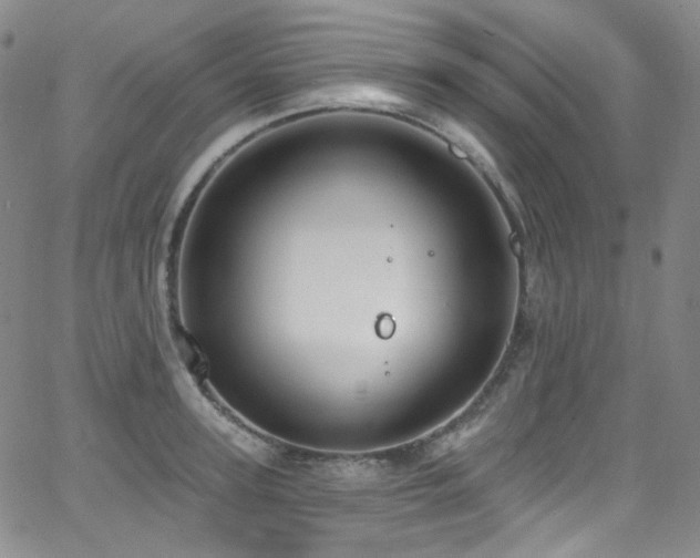 X0000063530947200601201455