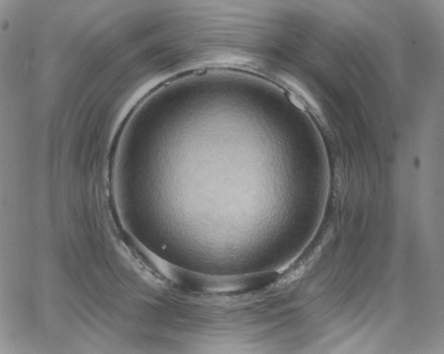 X0000063530948200601201455