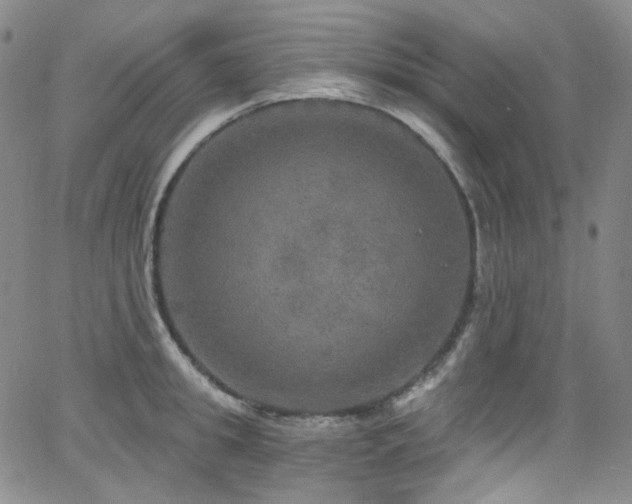 X0000063530949200601201455