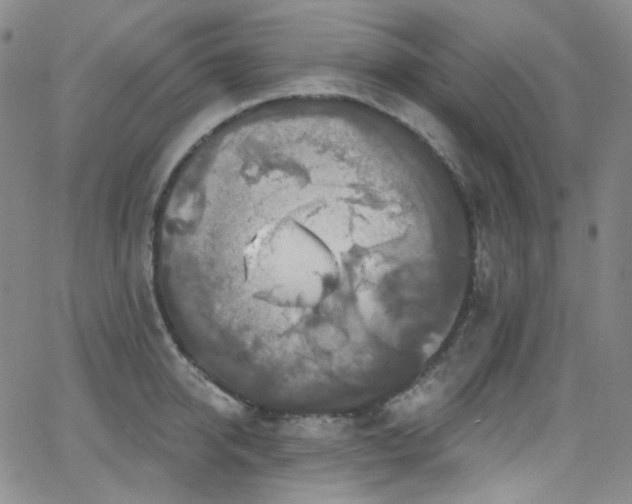 X0000063530950200601201455