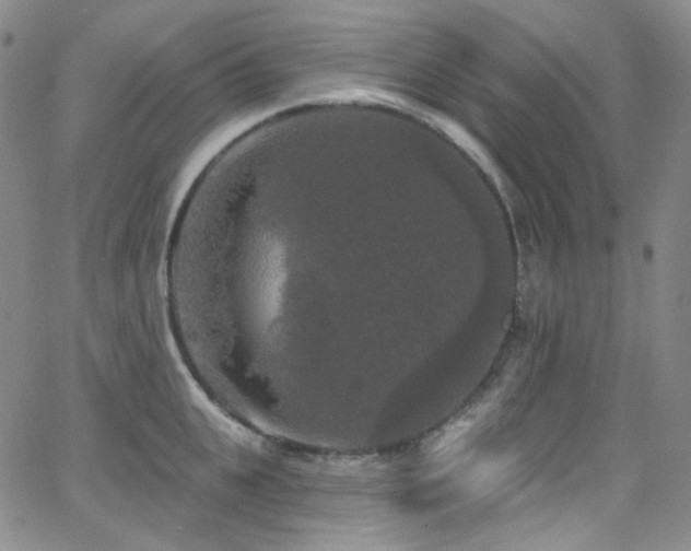 X0000063530951200601201455