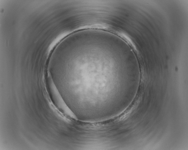 X0000063530952200601201455