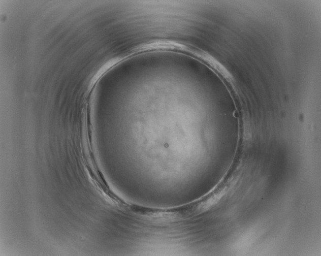 X0000063530953200601201455