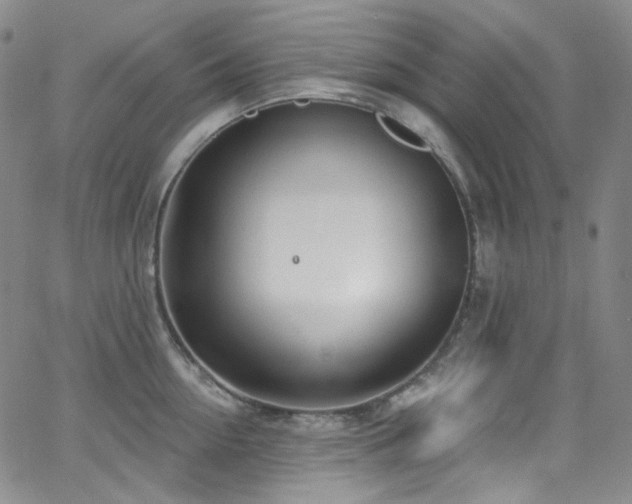 X0000063530954200601201455