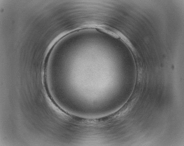 X0000063530955200601201455