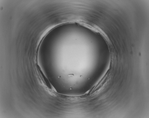 X0000063530956200601201455