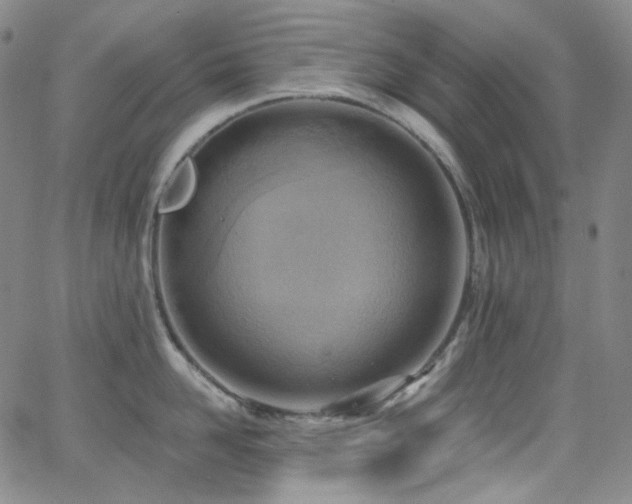 X0000063530958200601201455