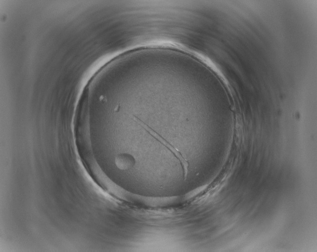 X0000063530959200601201455