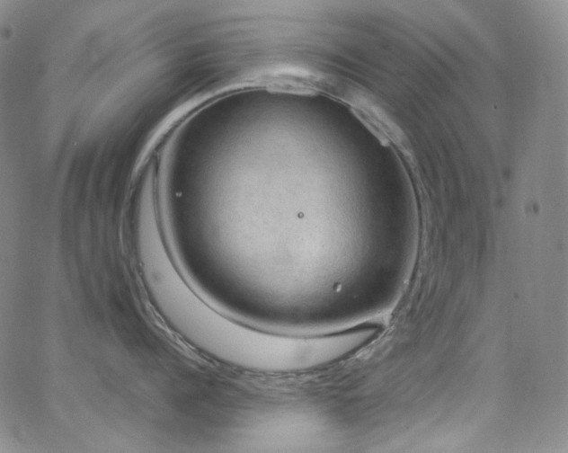 X0000063530960200601201455