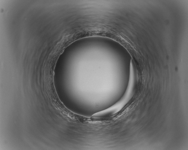 X0000063530961200601201454