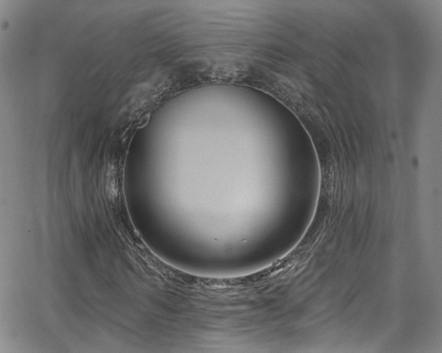 X0000063530962200601201454