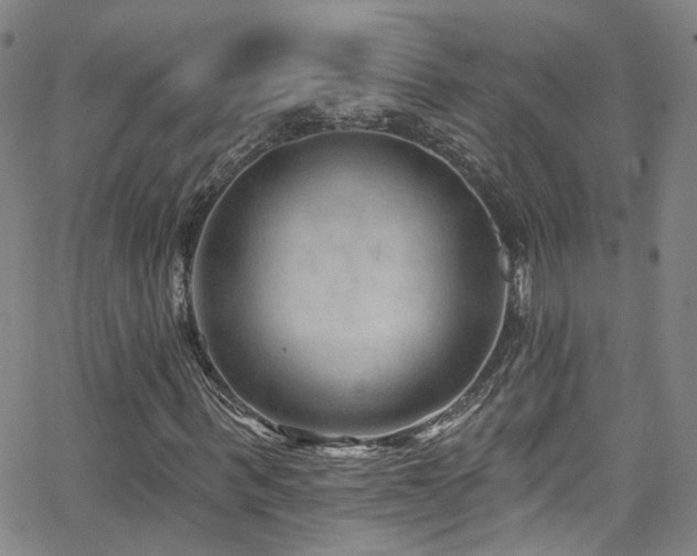 X0000063530963200601201454