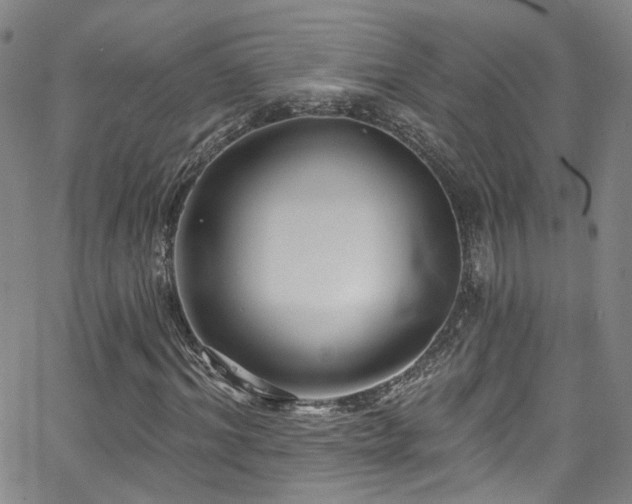 X0000063530964200601201454