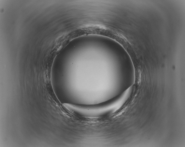 X0000063530965200601201454