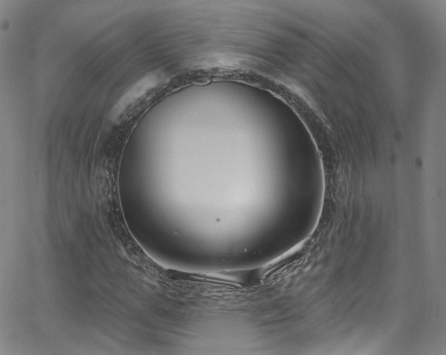 X0000063530967200601201454