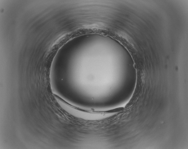 X0000063530968200601201454