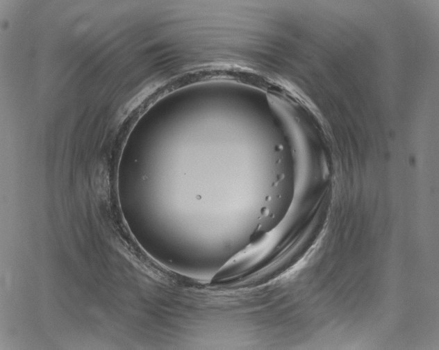 X0000063530969200601201454