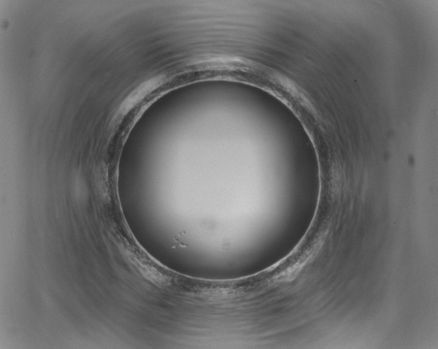 X0000063530970200601201454