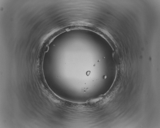 X0000063530971200601201454