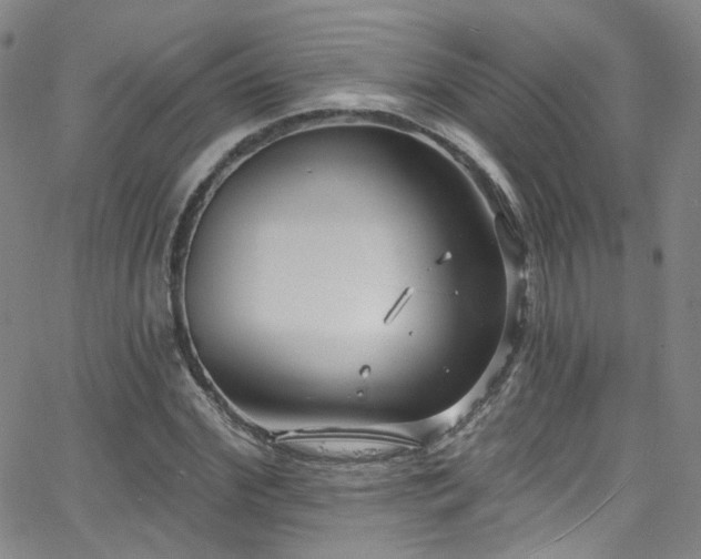 X0000063530972200601201454