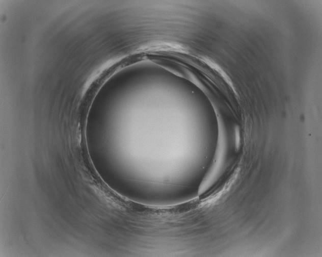 X0000063530973200601201454