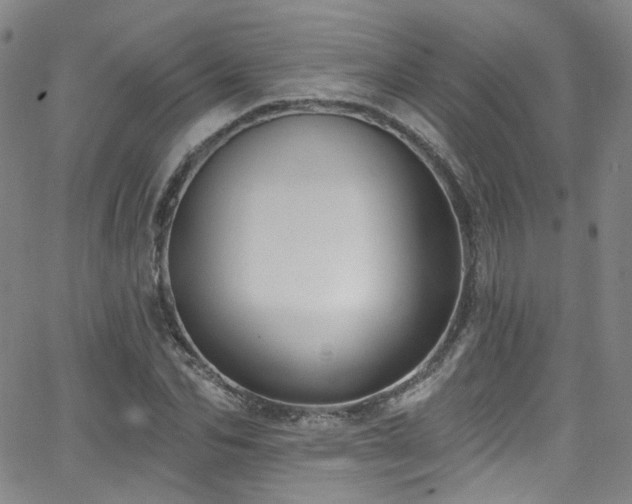 X0000063530974200601201454