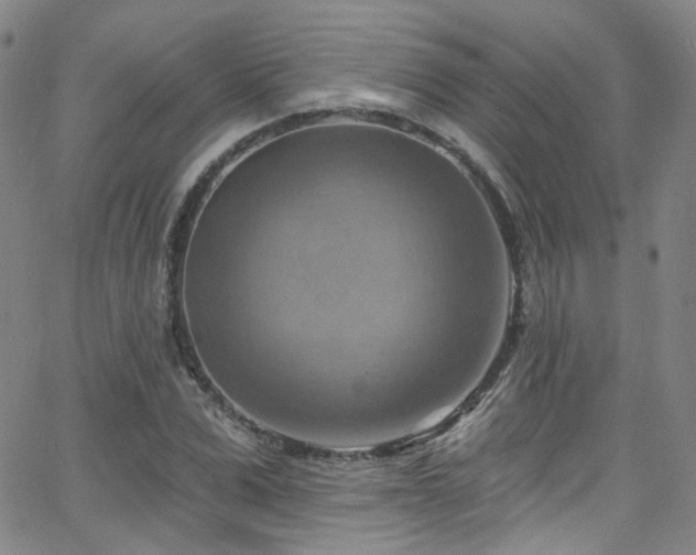 X0000063530975200601201454