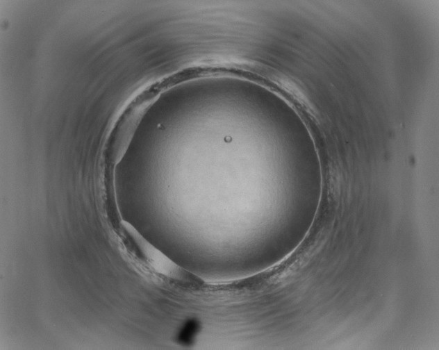 X0000063530976200601201454