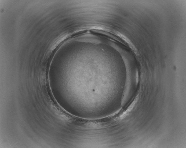 X0000063530977200601201454