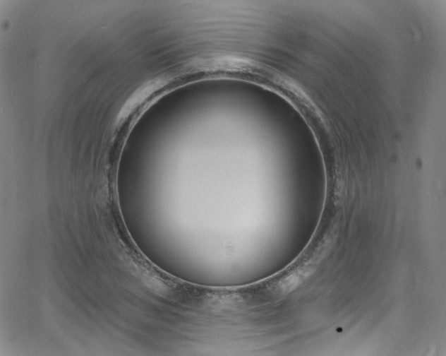 X0000063530978200601201454