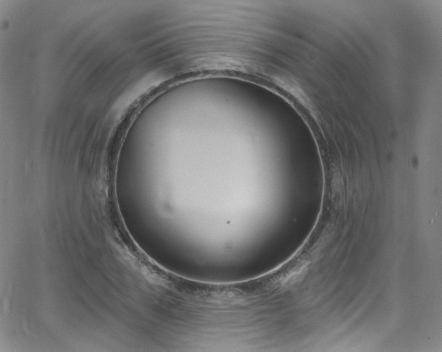 X0000063530979200601201454