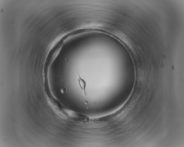 X0000063530980200601201454