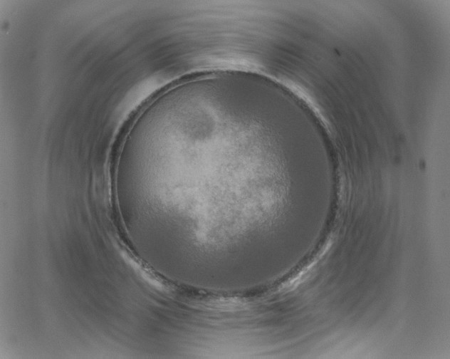 X0000063530982200601201454