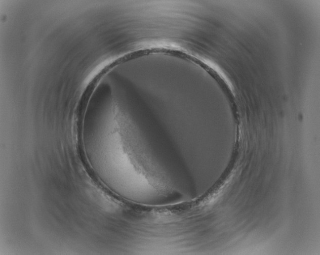 X0000063530983200601201454