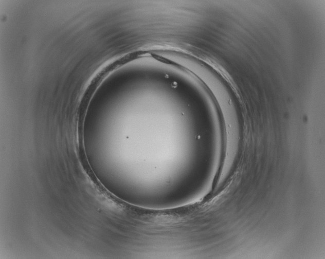 X0000063530984200601201454