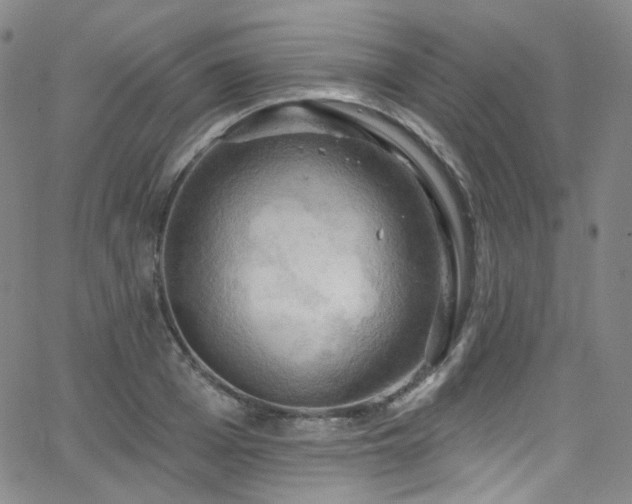 X0000063530985200601201454