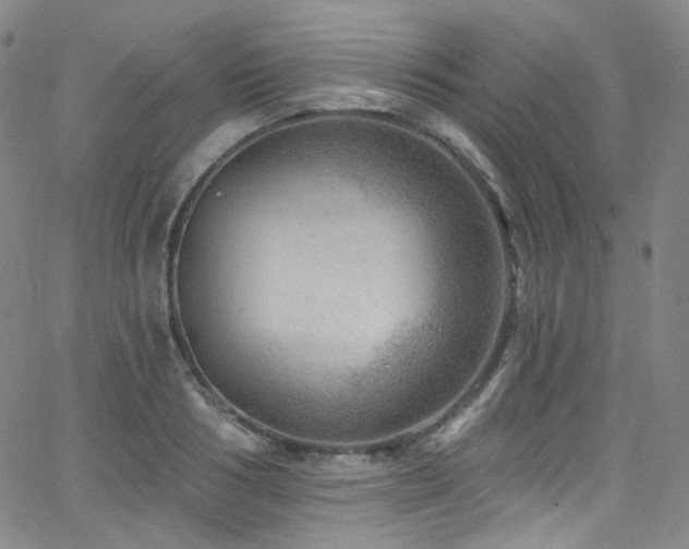 X0000063530986200601201454