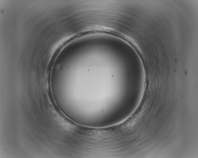 X0000063530987200601201454