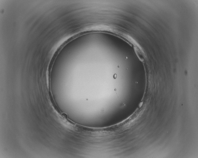 X0000063530988200601201454